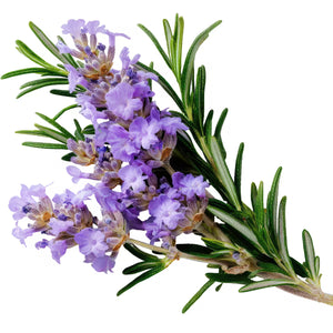 Rosemary