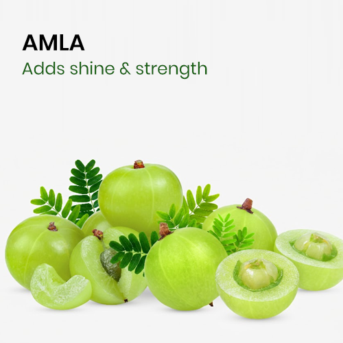 Herbal Beard & Hair Color - Brown |NO AMMONIA|50g