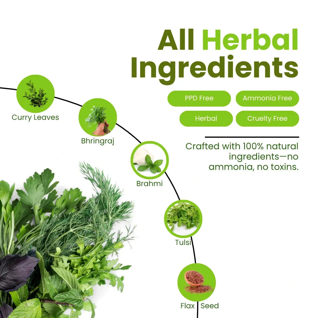 Herbal Hair & Beard Color | Black | NO AMMONIA | 50g