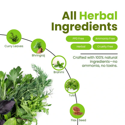 Herbal Hair & Beard Color | Black | NO AMMONIA | 50g