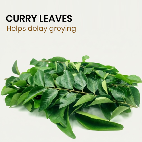 Herbal Beard & Hair Color - Brown |NO AMMONIA|50g