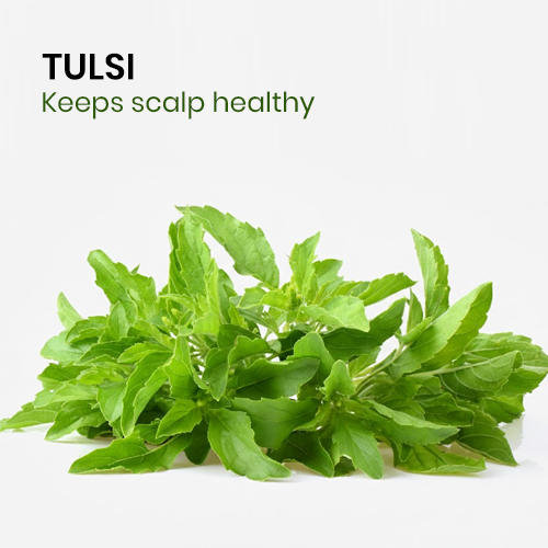 Herbal Beard & Hair Color - Brown |NO AMMONIA|50g