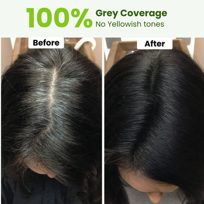 Herbal Hair & Beard Color | Black | NO AMMONIA | 50g